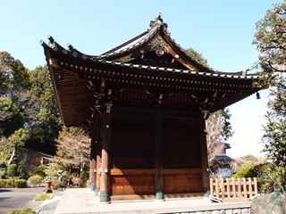 P3120760.jpg