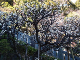 P3120770.jpg