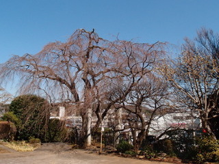 P3120773.jpg