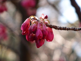 P3120775.jpg