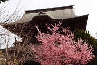 P3127901.jpg