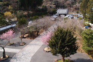 P3127920.jpg