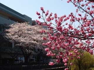 P3250845.jpg