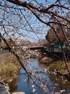 P3250852.jpg