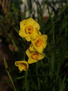 P3278664.jpg