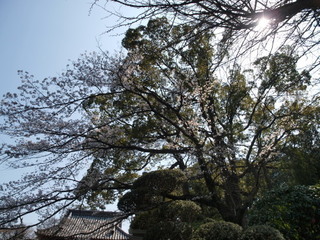 P3280637.jpg