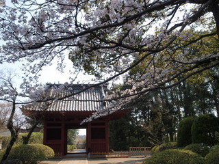 P3280640.jpg