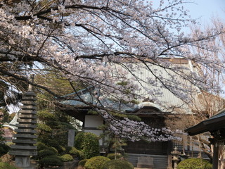 P3280644.jpg