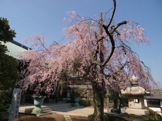 P3280657.jpg