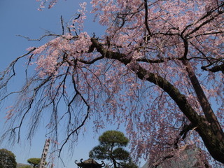 P3280671.jpg