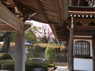 P3280686.jpg