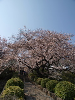 P3280689.jpg
