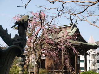 P3280750.jpg