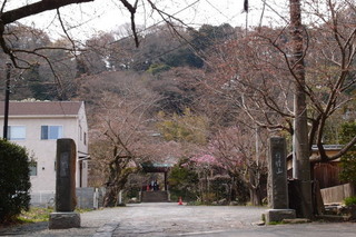 P3298186.jpg