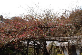 P3298200.jpg