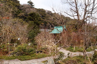 P3298209.jpg