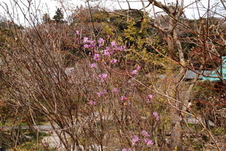 P3298210.jpg