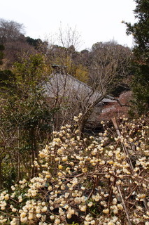 P3298211.jpg