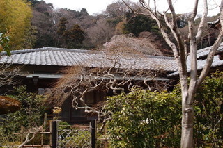 P3298215.jpg