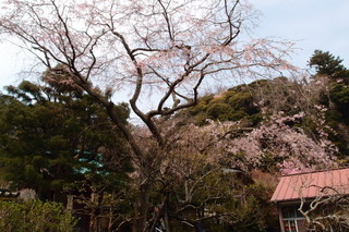 P3298248.jpg