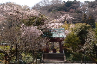 P3298258.jpg