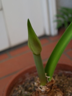 P3299463.jpg
