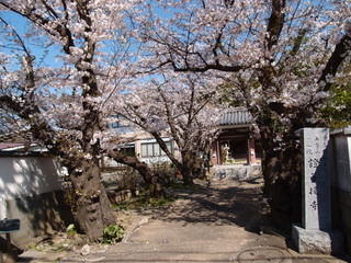 P3300861.jpg