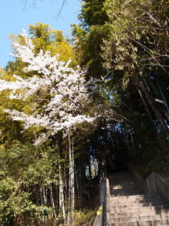 P3300867.jpg