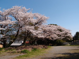 P3300875.jpg