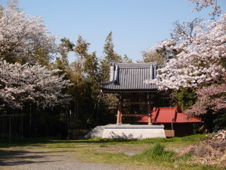 P3300876.jpg
