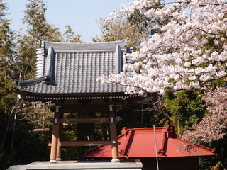 P3300877.jpg
