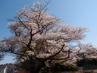 P3300883.jpg