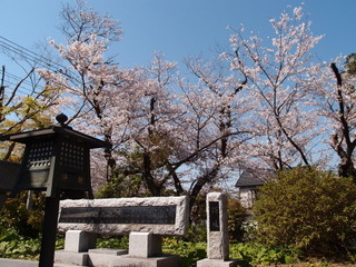 P3300889.jpg