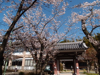 P3300892.jpg