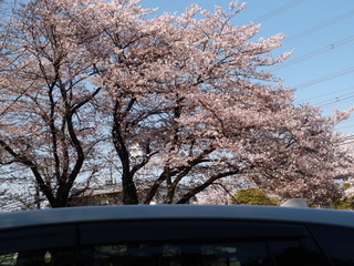P3300900.jpg