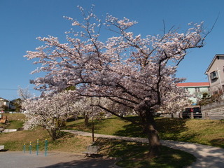 P3300915.jpg