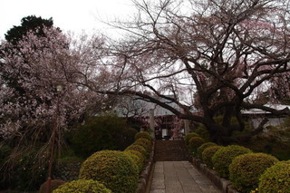 P3318263.jpg
