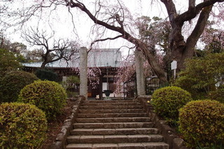 P3318264.jpg