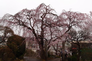 P3318292.jpg