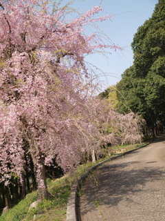 P4030870.jpg