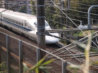 P4030891.jpg