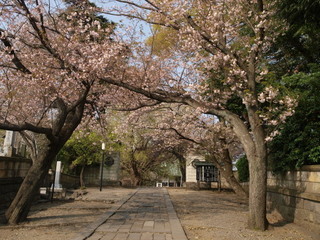 P4030930.jpg