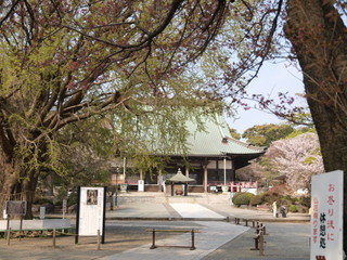 P4030931.jpg