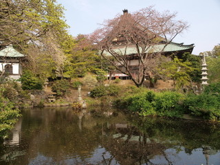 P4030955.jpg