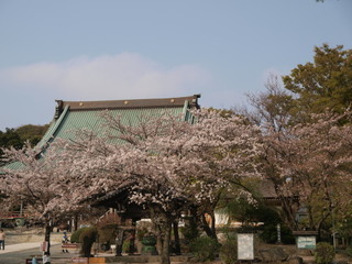 P4030968.jpg