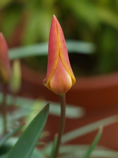 P4038710.jpg
