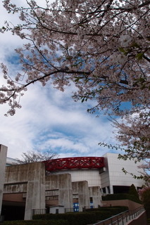 P4044612.jpg