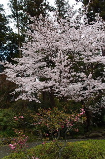 P4044615.jpg