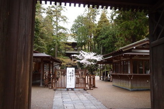 P4044617.jpg