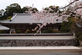 P4044623.jpg
